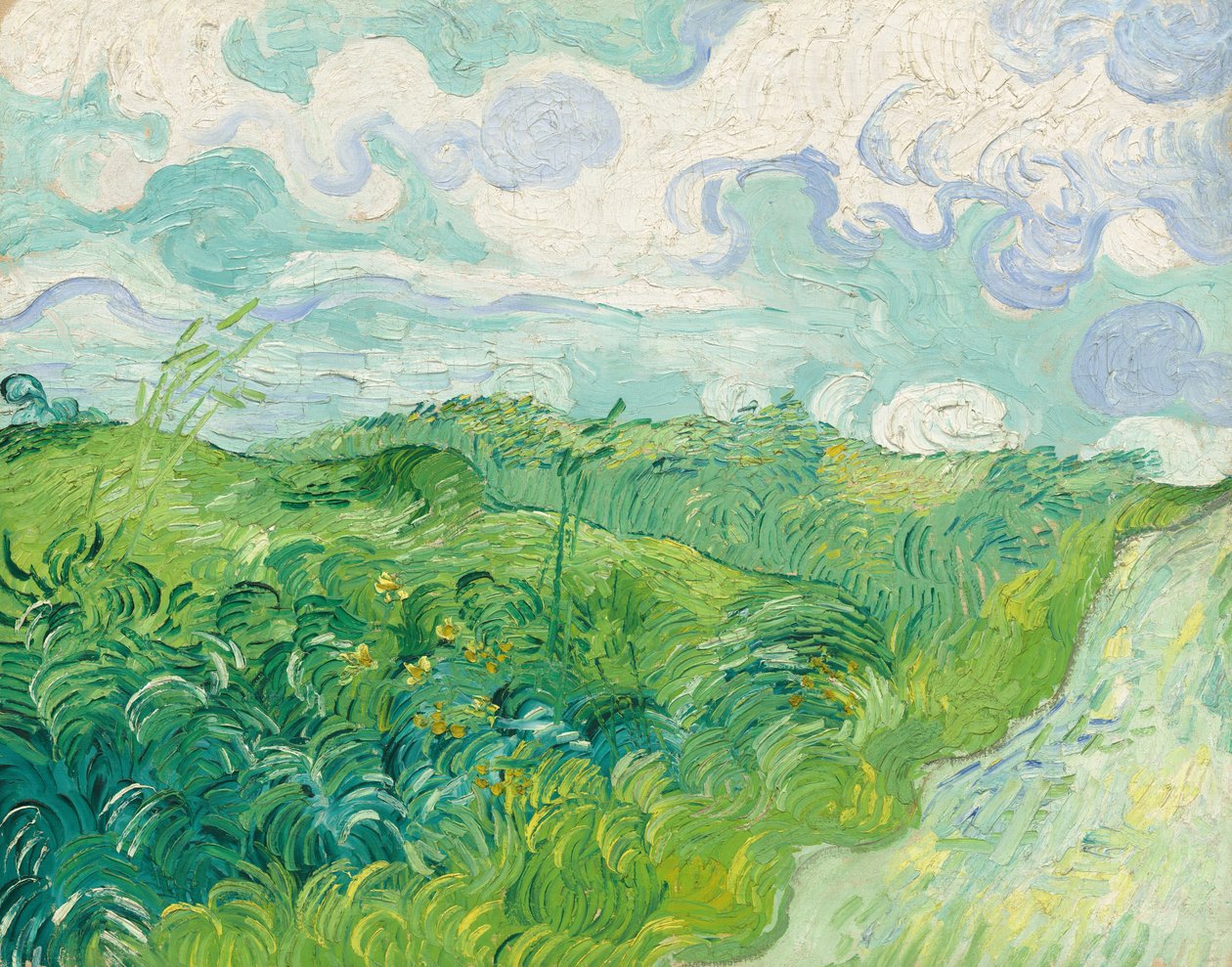 Zelená pšeničná pole, Auvers, 1890. od Vincent van Gogh