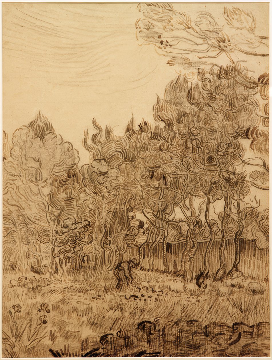 V parku sanatoria od Vincent van Gogh