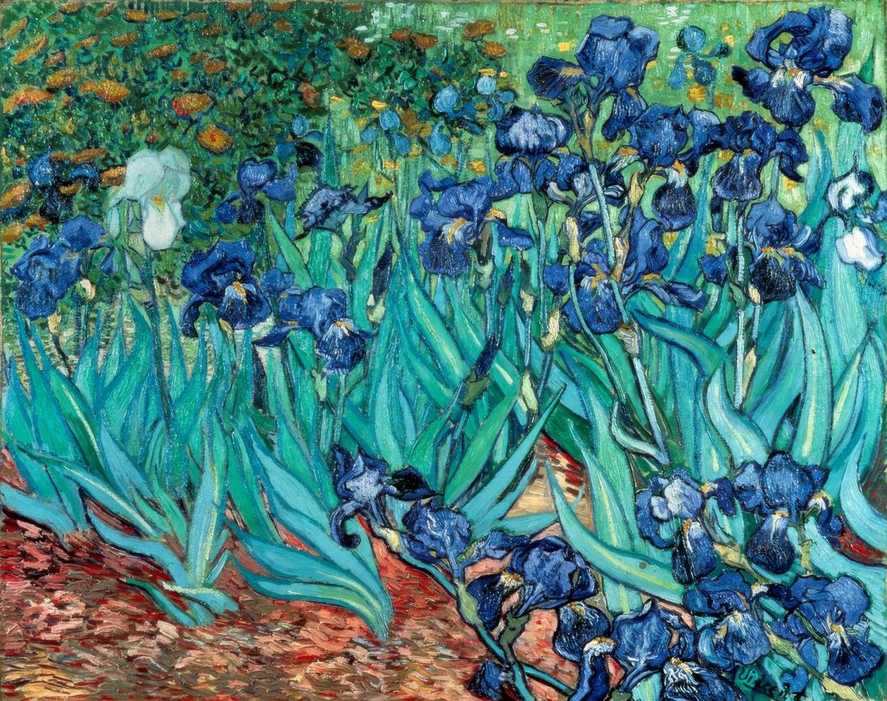 Iris (Irises) od Vincent van Gogh