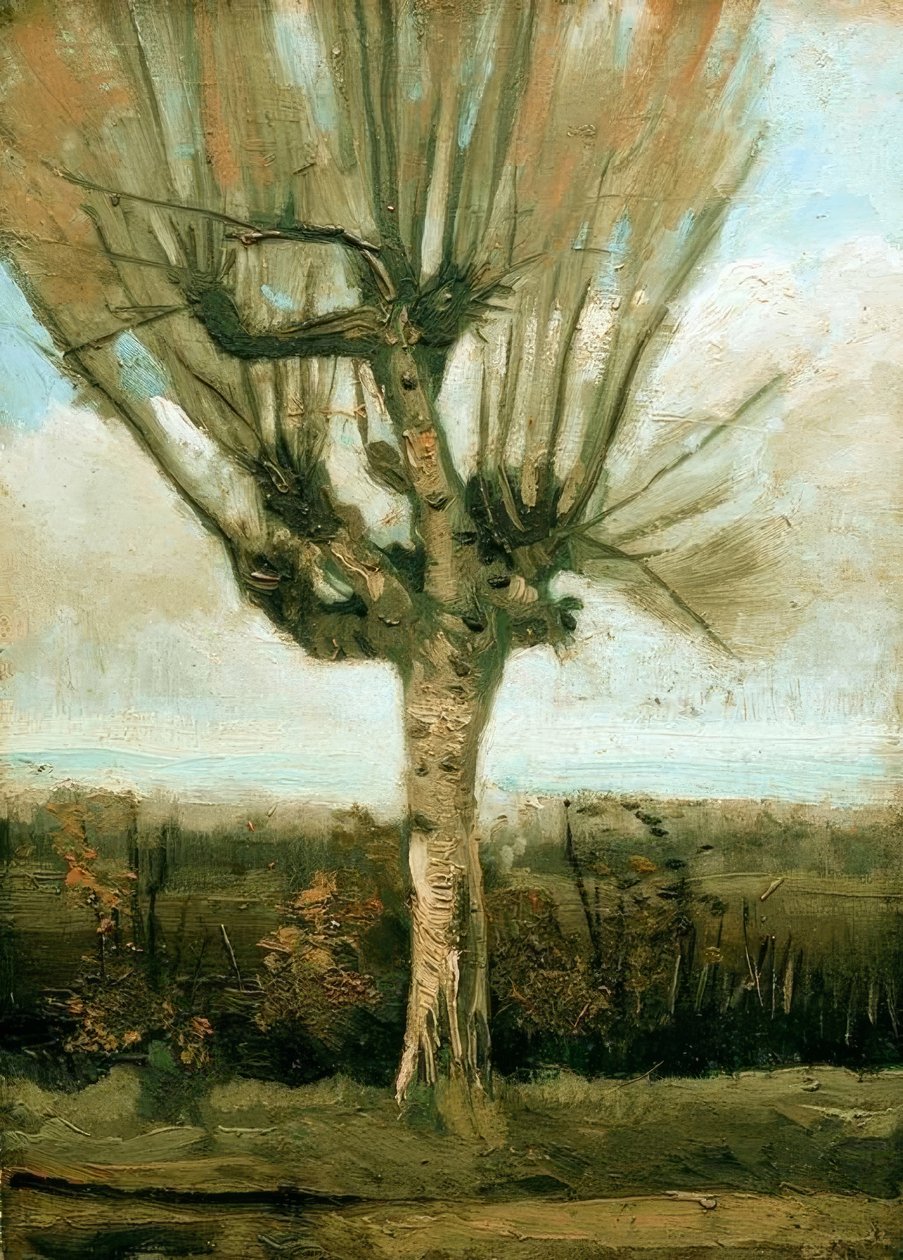 Pollarded vrba od Vincent van Gogh