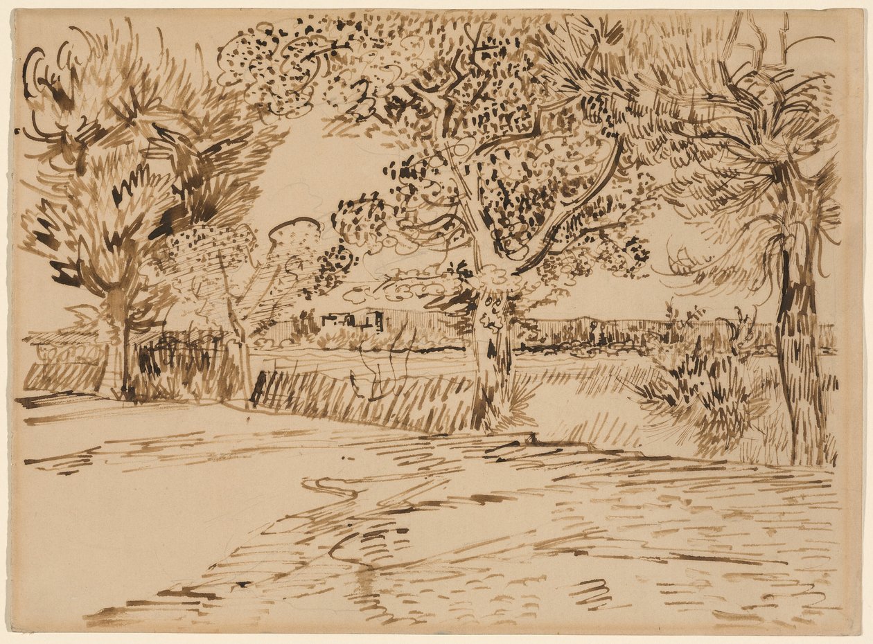 Krajina v Arles od Vincent van Gogh