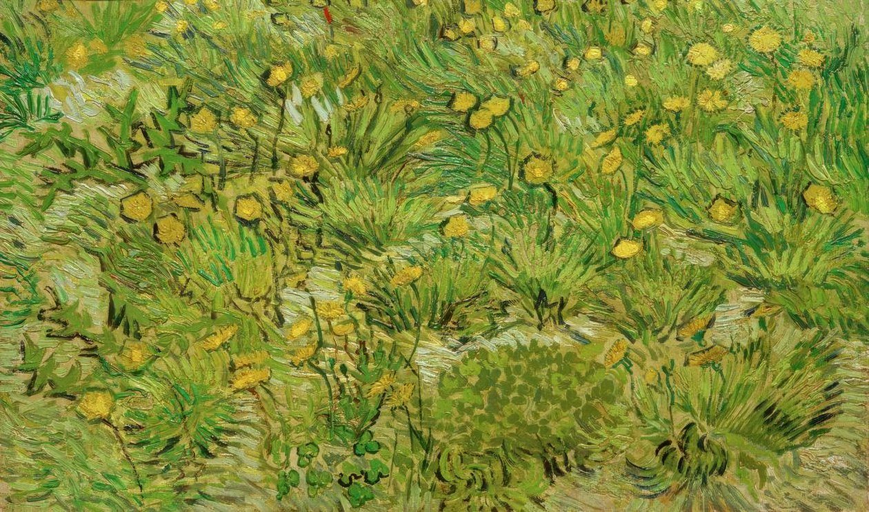 Pampelišky od Vincent van Gogh