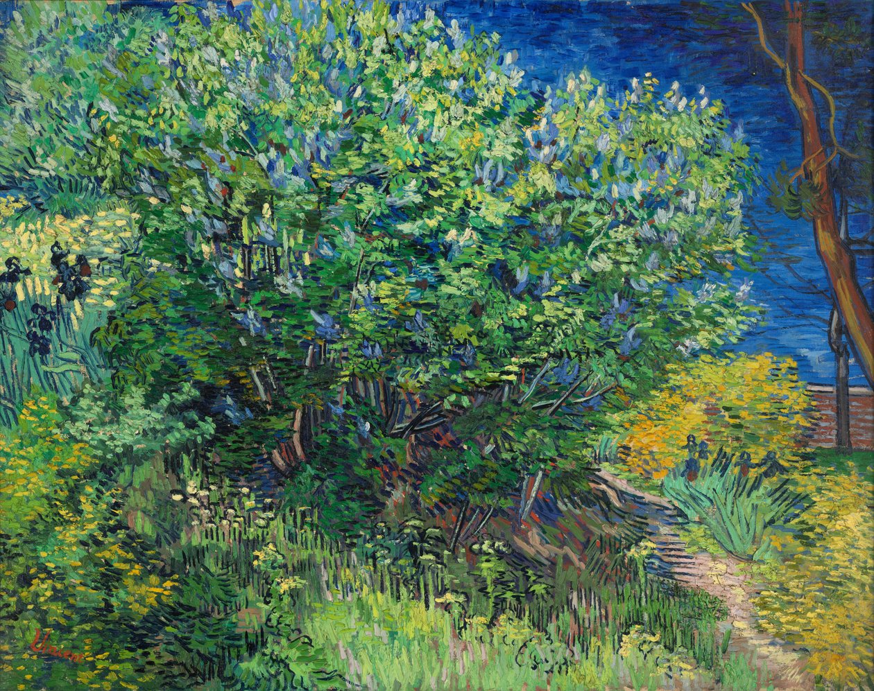 Šeříky od Vincent van Gogh