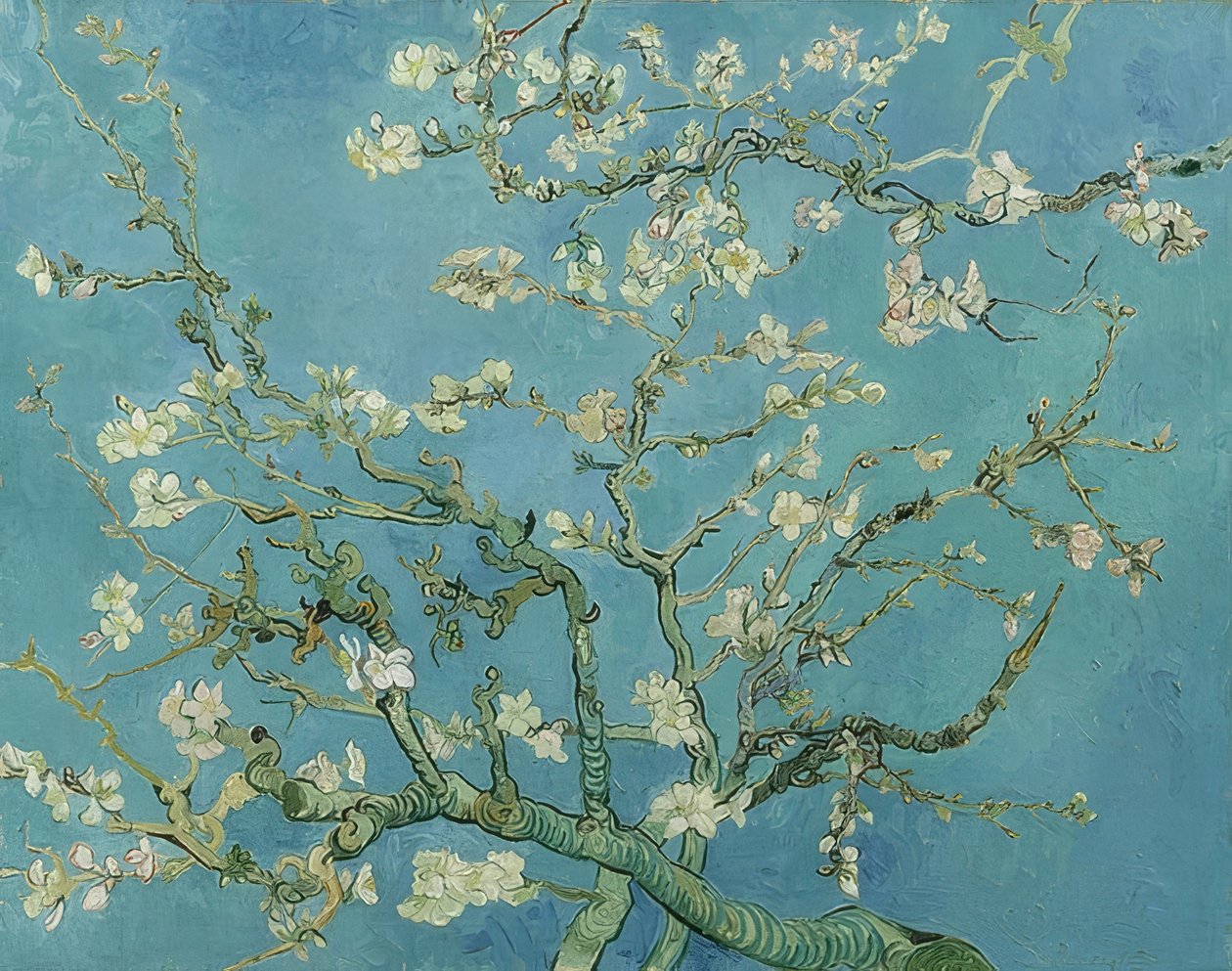 Mandlové květy. 1890 od Vincent van Gogh
