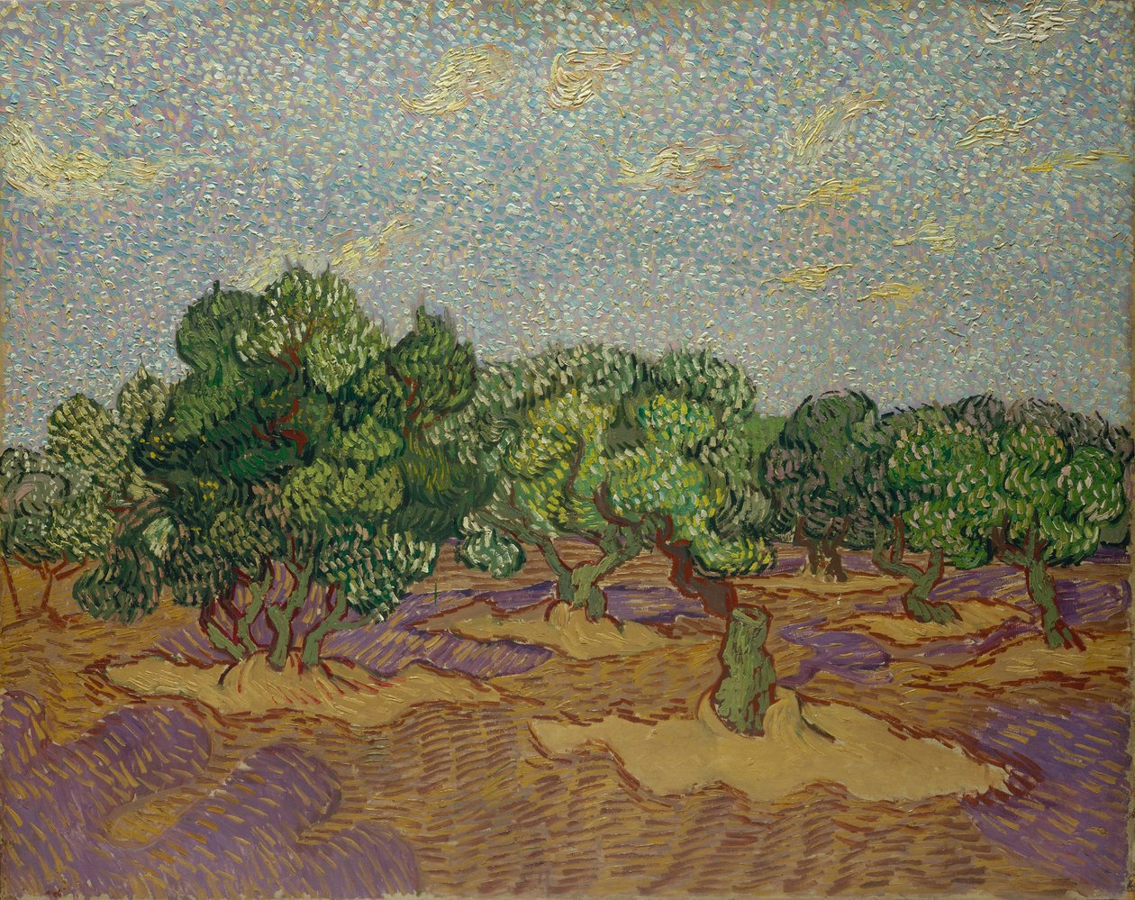 Olivovníky od Vincent van Gogh