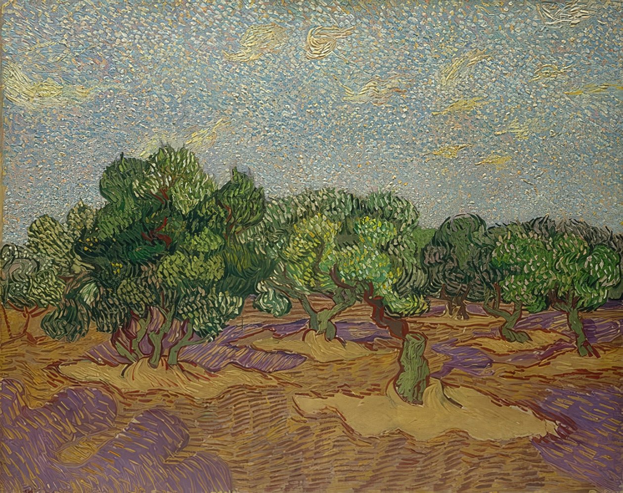 Olivovníky. 1889 od Vincent van Gogh