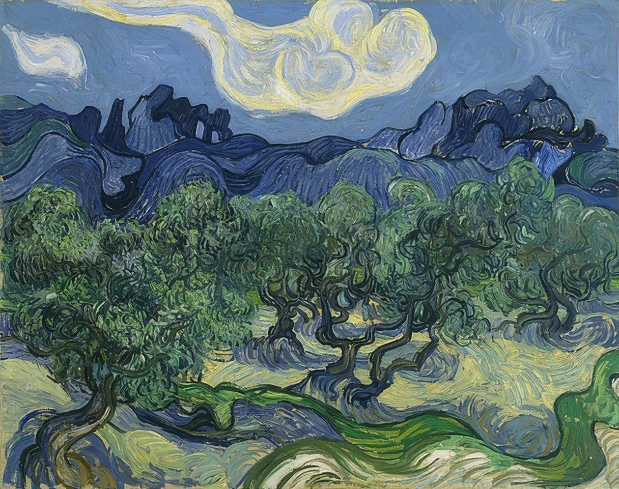 Olivovníky. 1889 od Vincent van Gogh