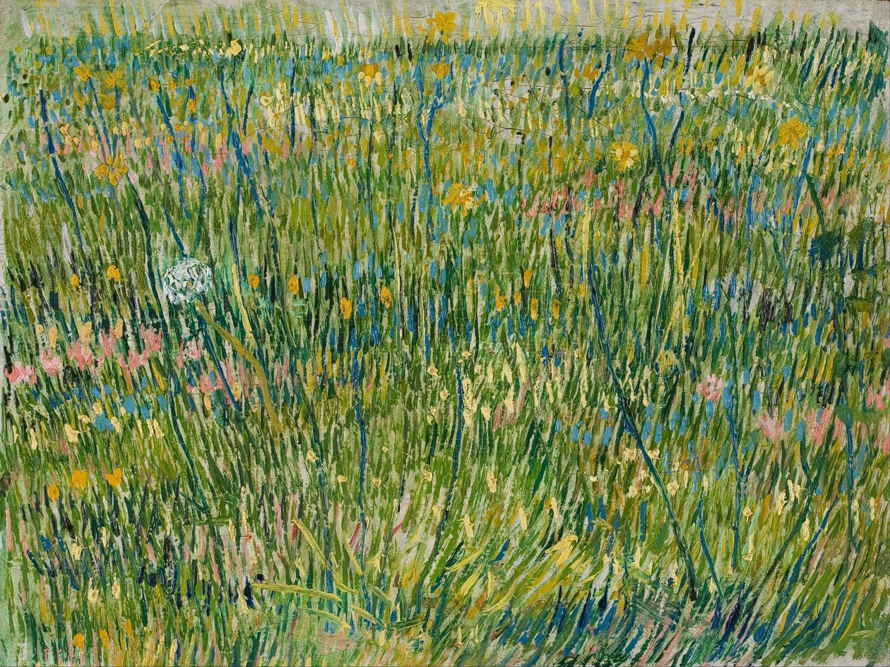 Záplata trávy od Vincent van Gogh