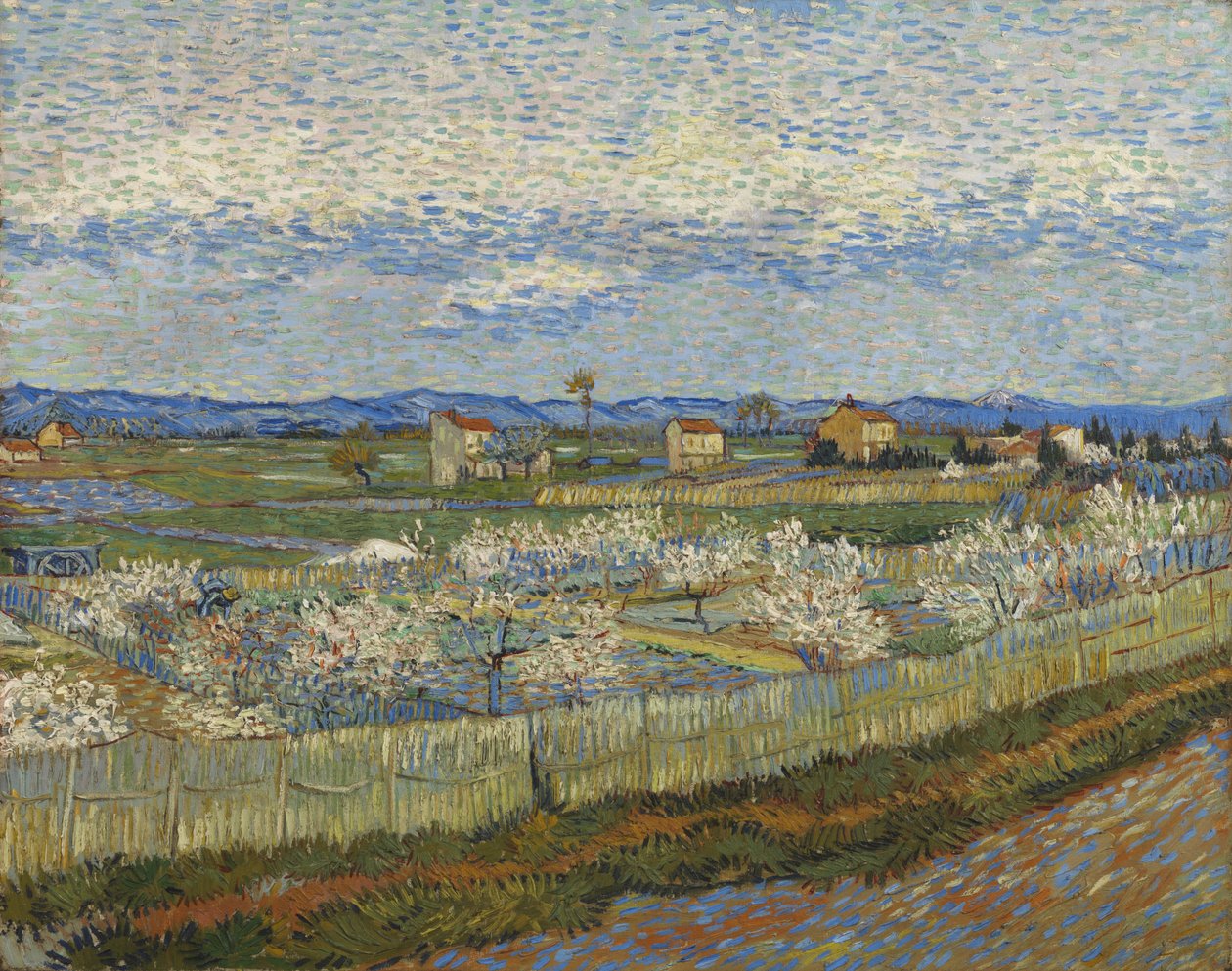 Kvetoucí broskvoně, 1889 od Vincent van Gogh