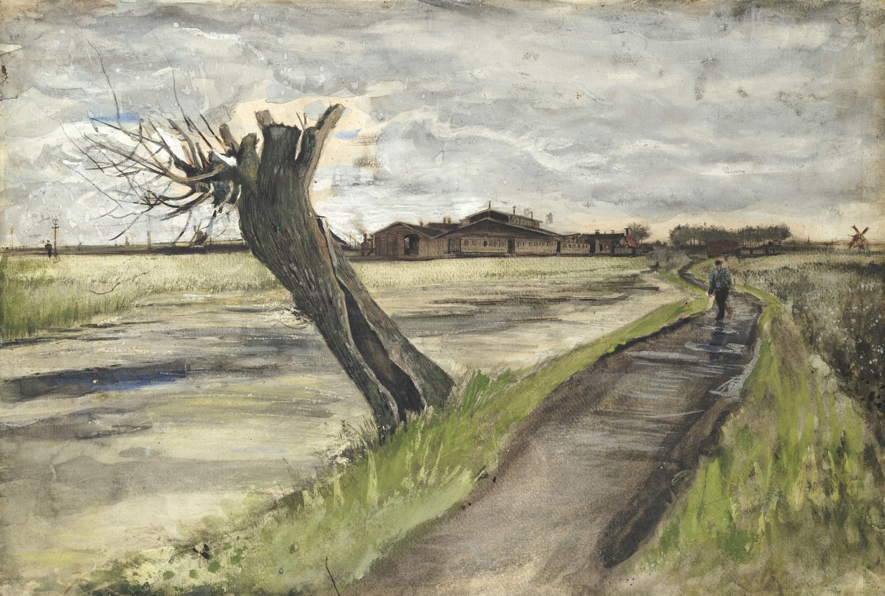 Pollard Willow, 1882 od Vincent van Gogh