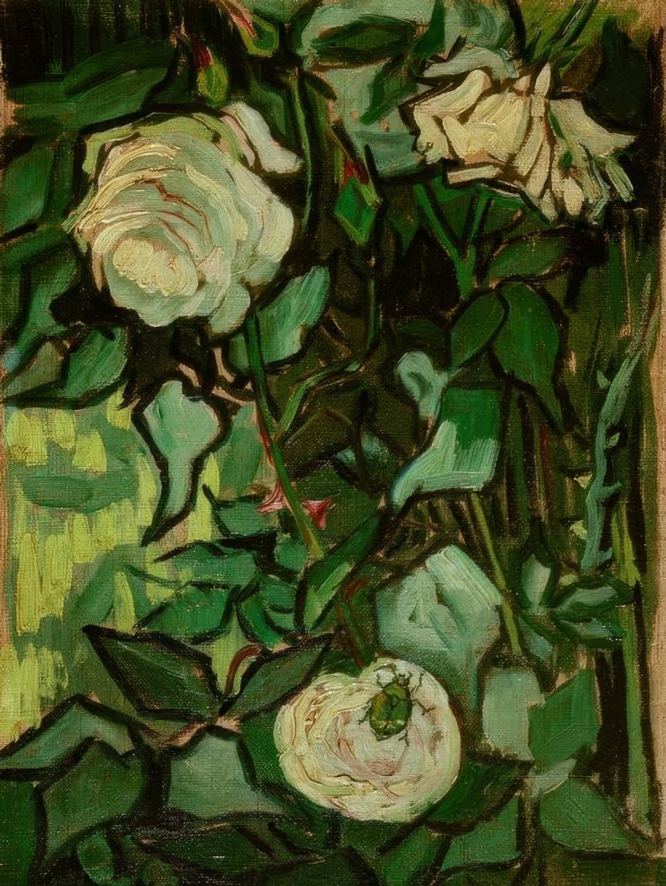 Růže a brouk od Vincent van Gogh