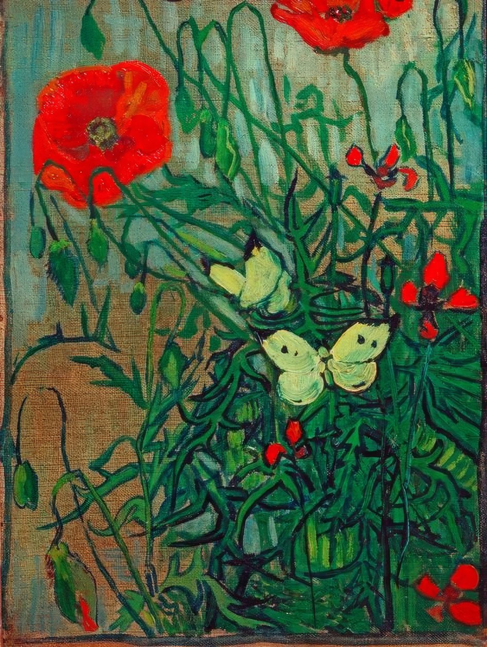 Motýli na květech máku od Vincent van Gogh
