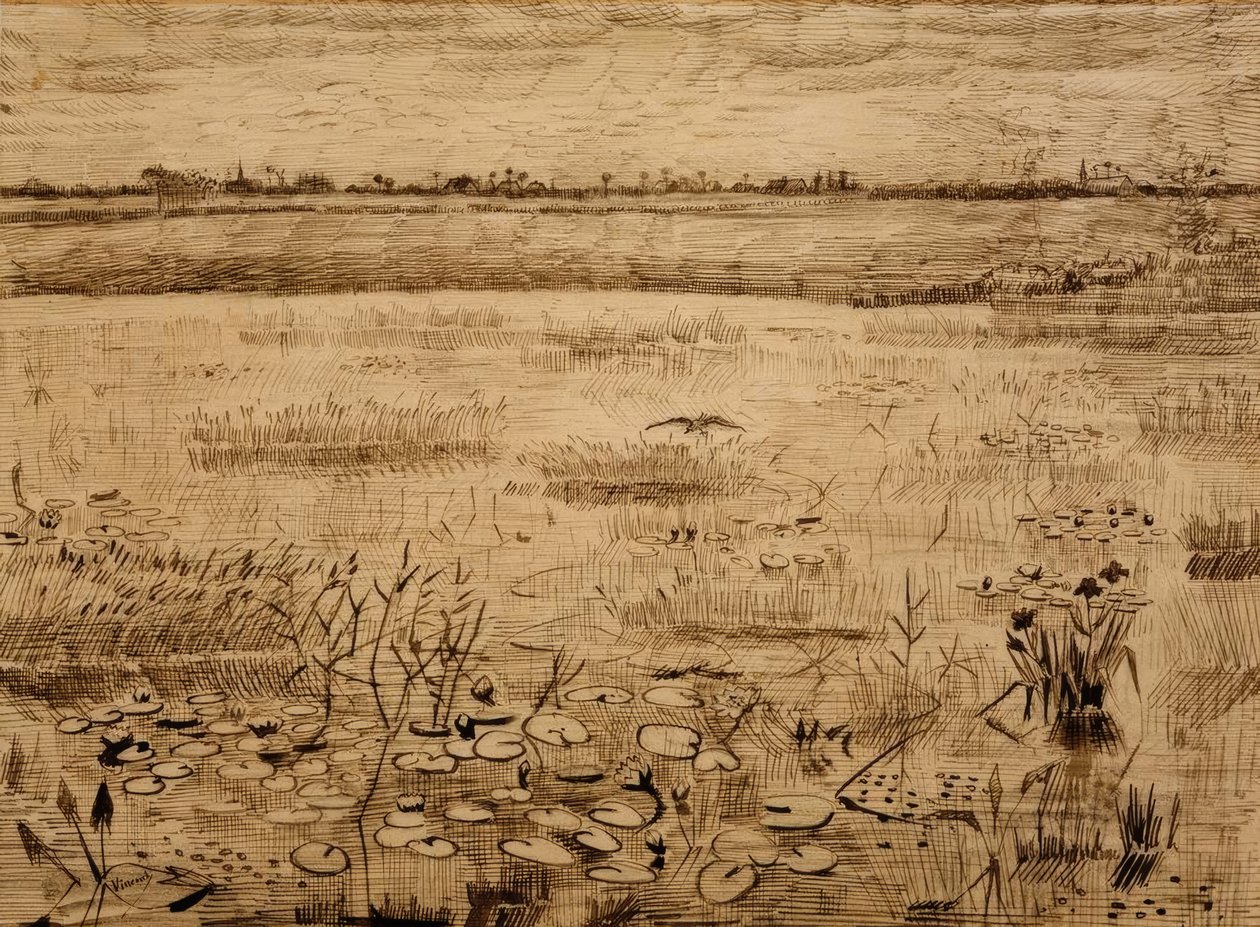 Bažinatá krajina s lekníny od Vincent van Gogh