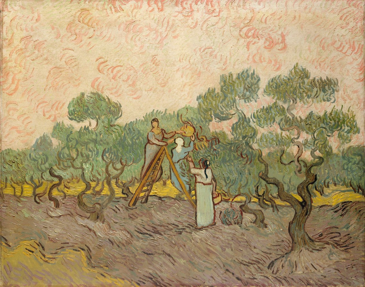 Sběrači oliv, Saint-Remy od Vincent van Gogh