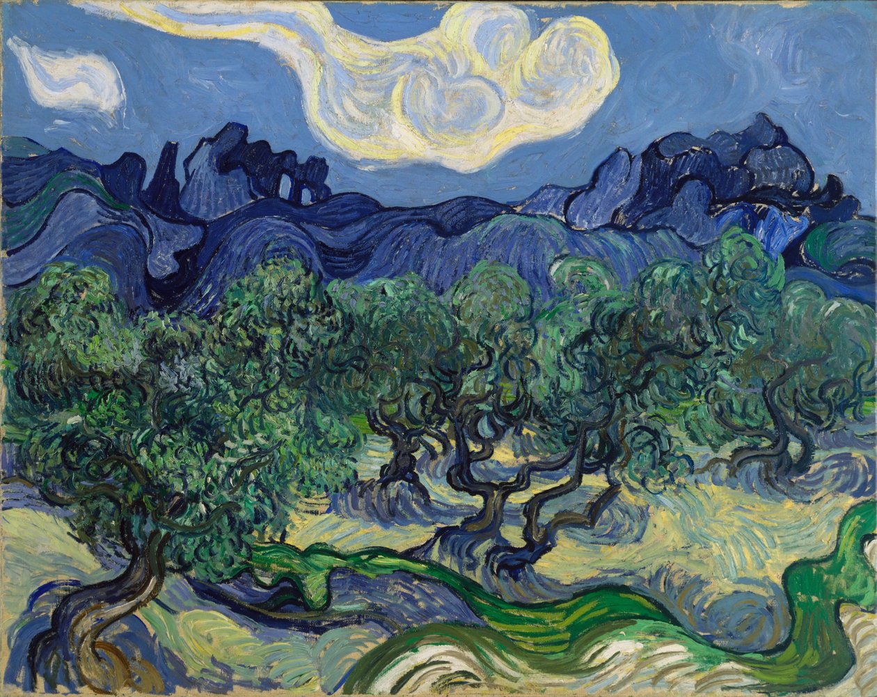 Olivovníky od Vincent van Gogh