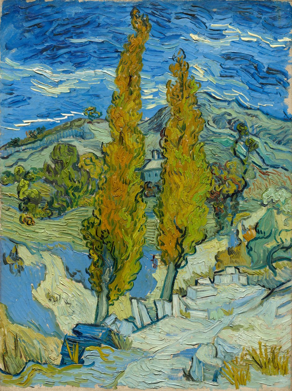 Topoly v Saint-Rémy, 1889. od Vincent van Gogh