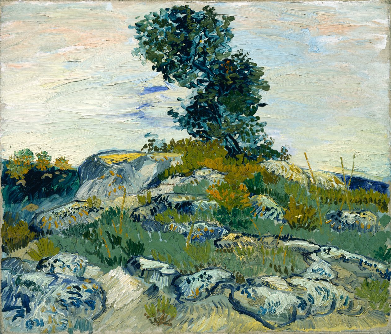 Kameny od Vincent van Gogh