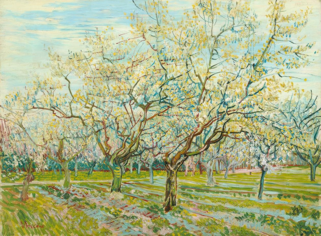 V. van Gogh, Bílý sad od Vincent van Gogh