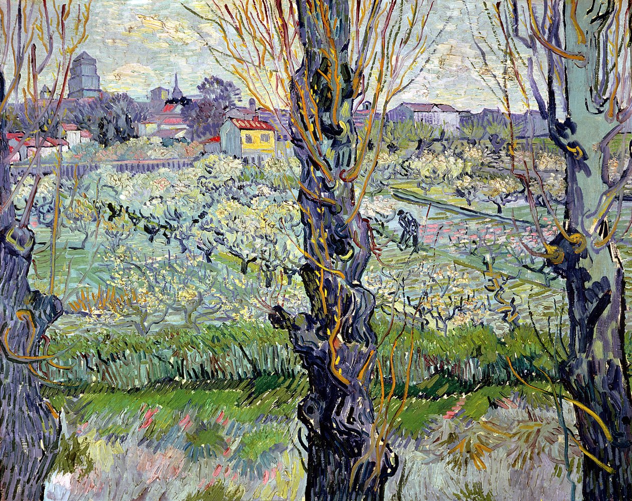 Pohled na Arles od Vincent van Gogh