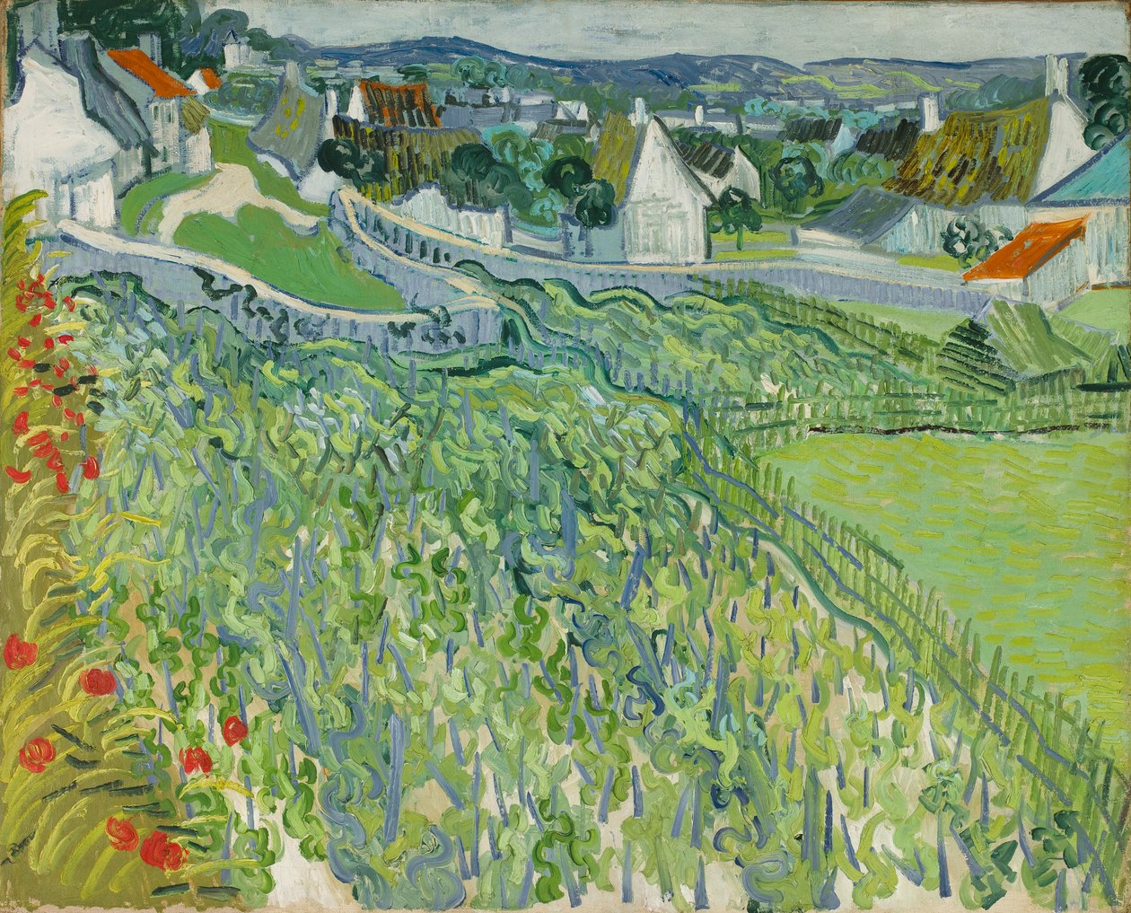 Vinice v Auvers od Vincent van Gogh