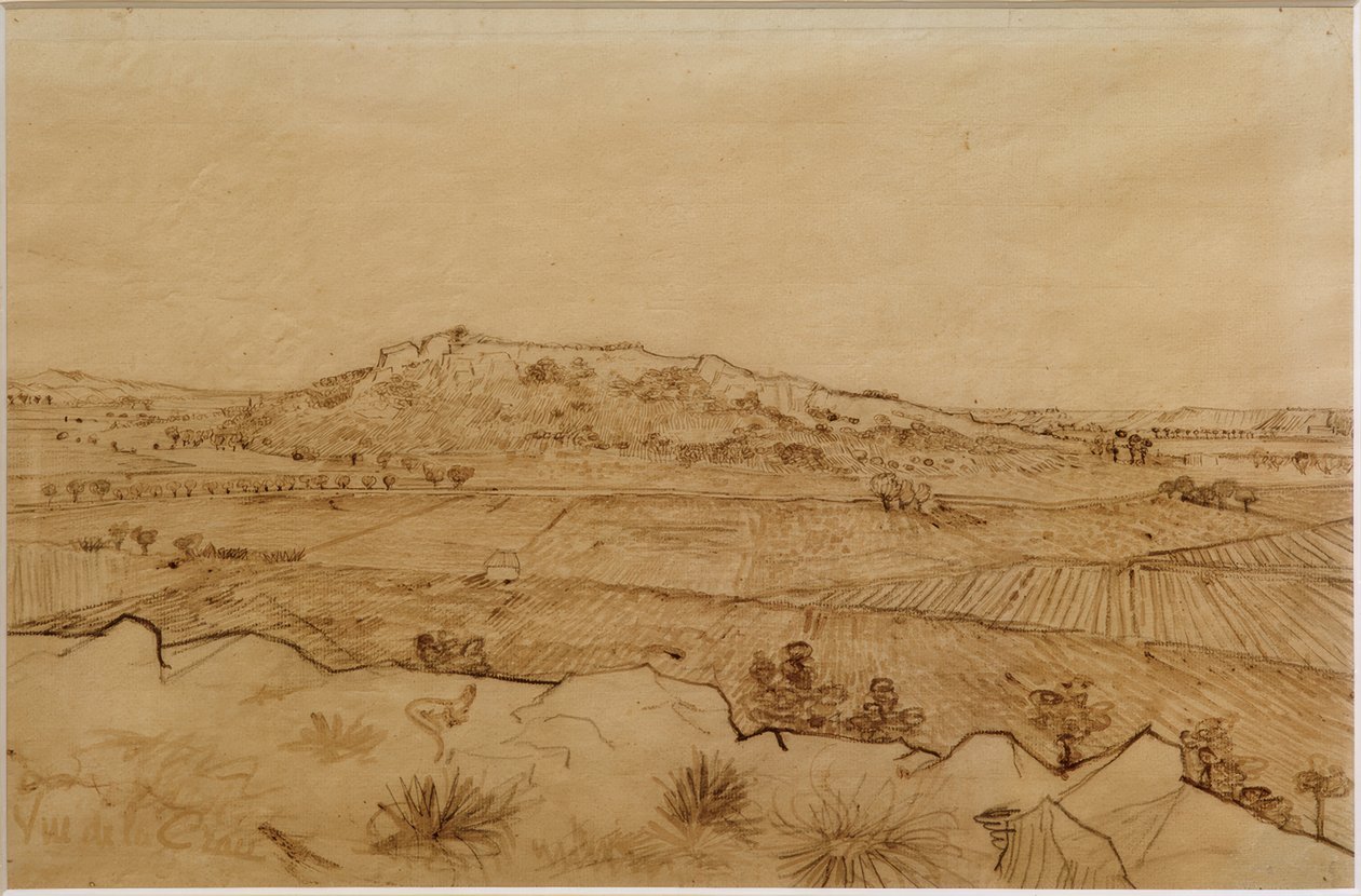 Pohled na Crau od Vincent van Gogh