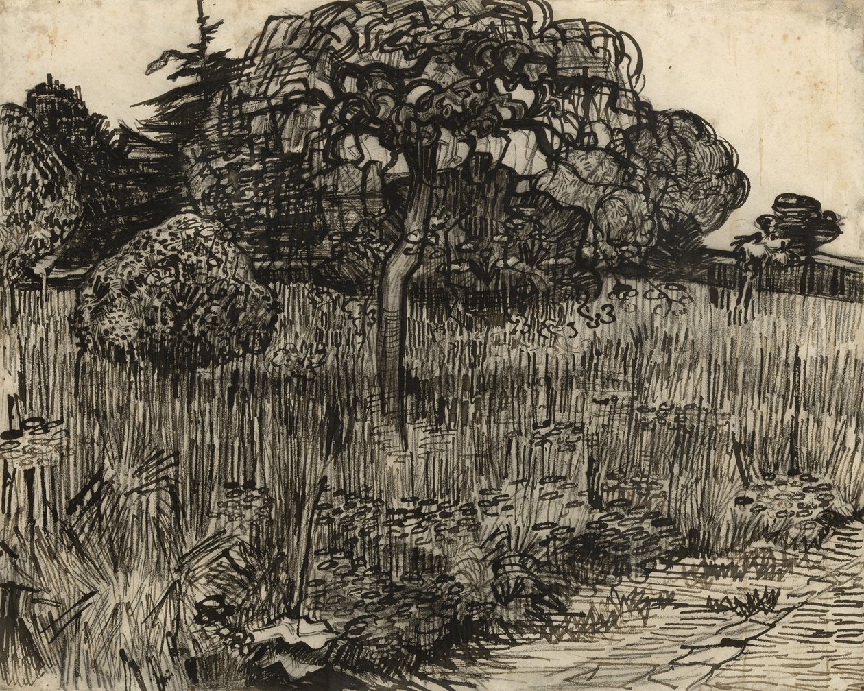Plačící strom, 1889 od Vincent van Gogh