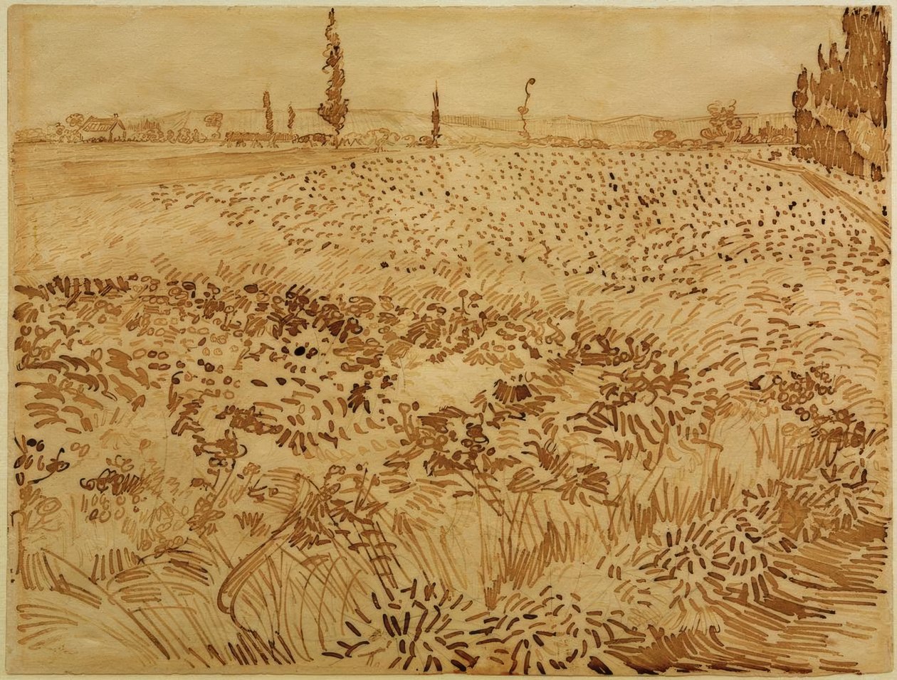 Pšeničné pole od Vincent van Gogh