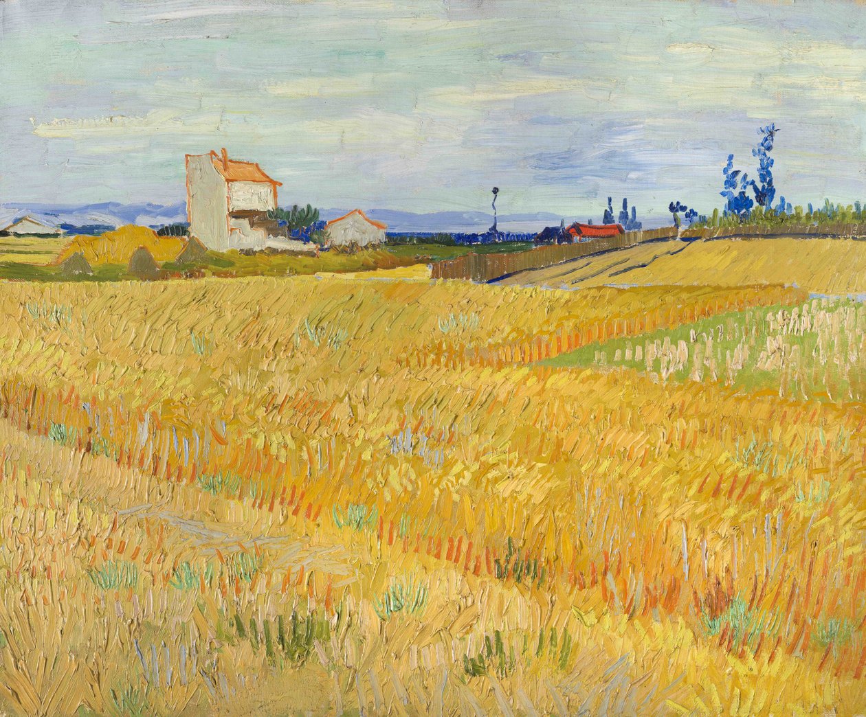 Pšeničné pole (Champs de blé) od Vincent van Gogh