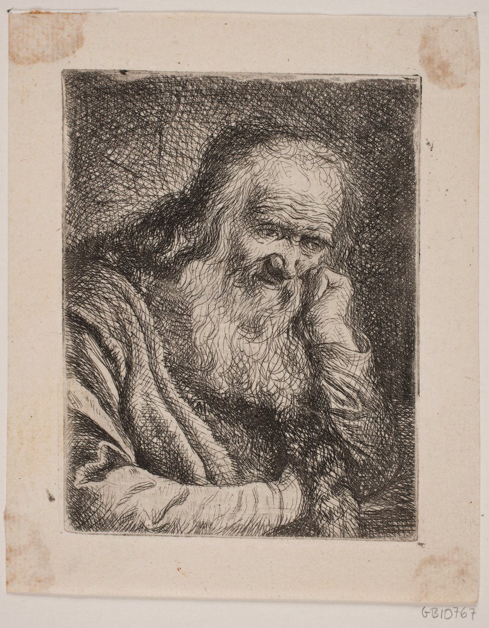 Vousatý Olding od W.A. Müller
