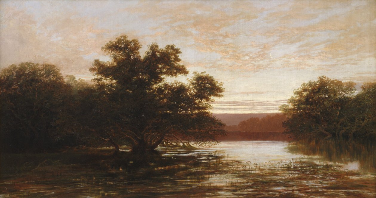 Australský mangrovník, odliv od W.C. Piguenit