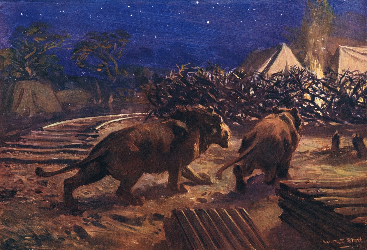 Nepřítel železničáře od W.R.S. Stott