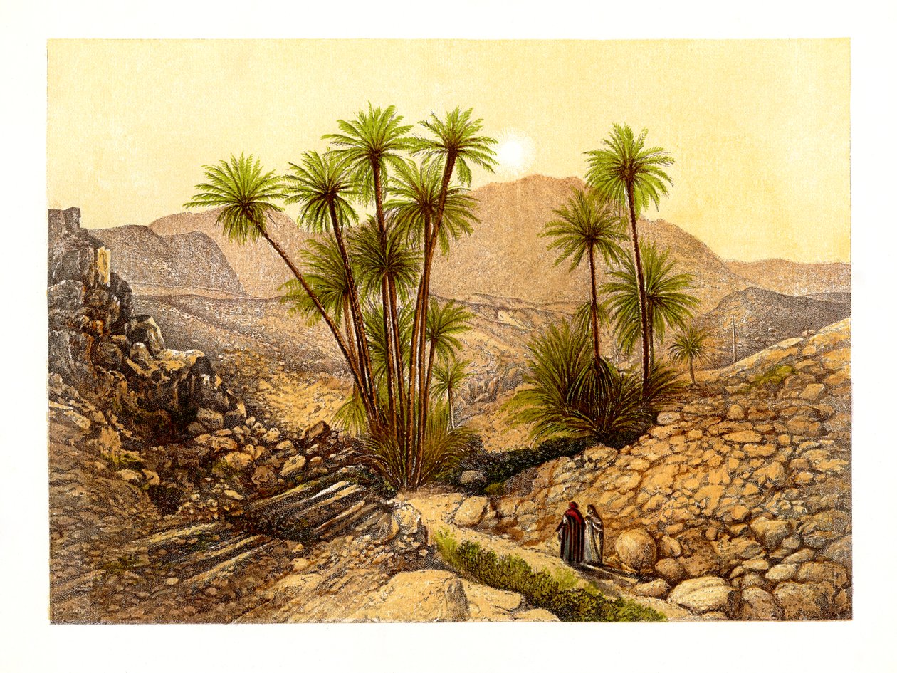 Poušť Sinai, Egypt, c1870. od W. Dickens