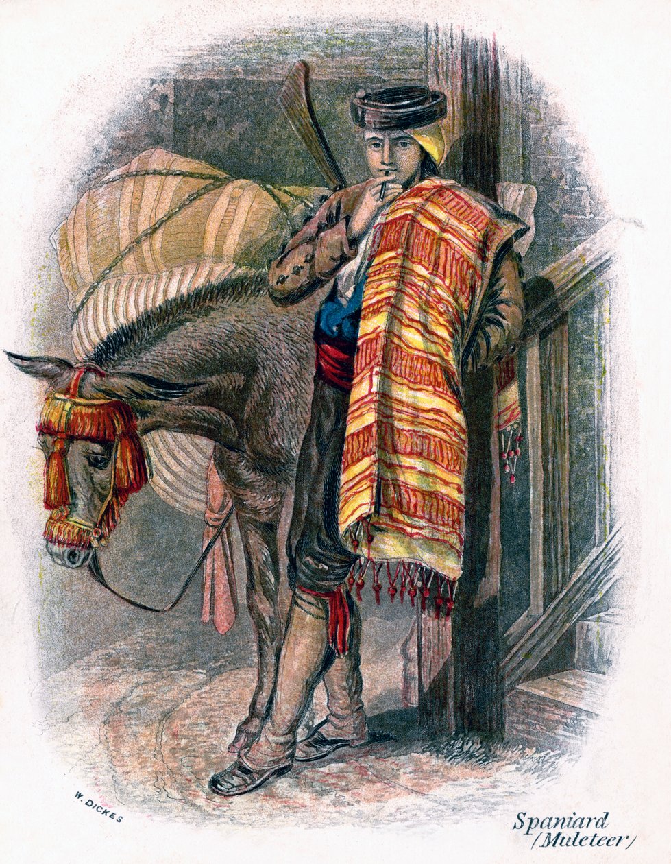 Španělský mulet, 1809. od W. Dickes