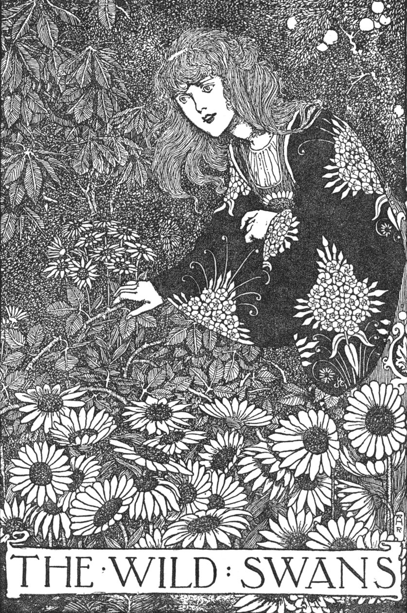 Divoké labutě, c1930 od William Heath Robinson