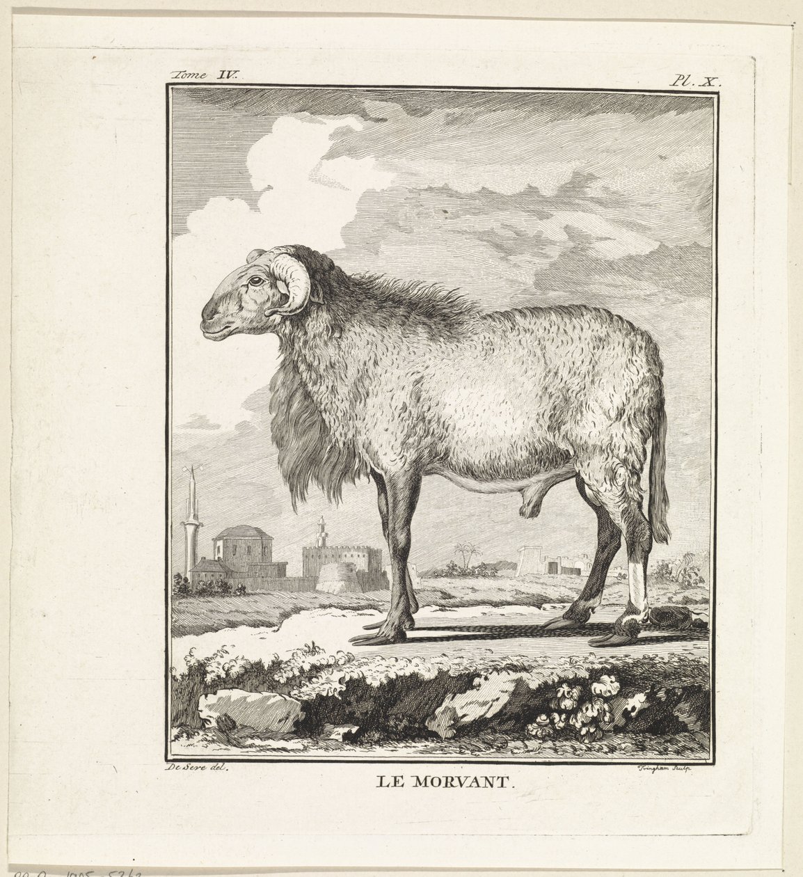 RAM Le Morvant (název na objektu) od W. Tringham