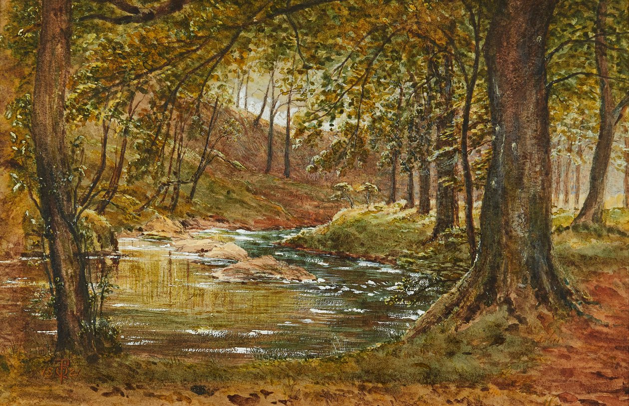 A Forest Glade (akvarel) od Waller Hugh Paton