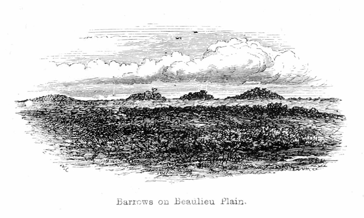 Barrows on Beaulieu Plain od Walter Crane
