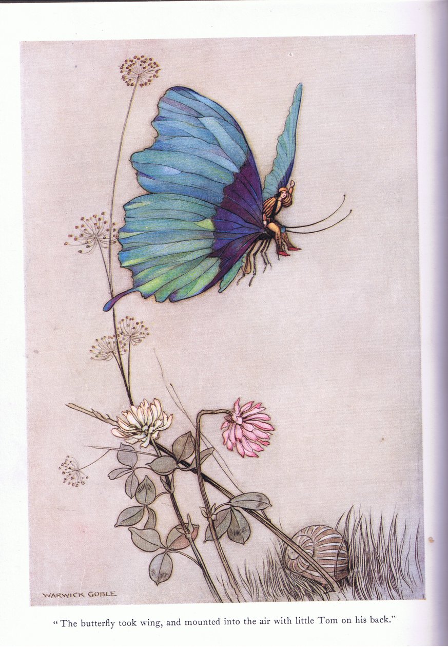 Motýl vzal křídla od Warwick Goble
