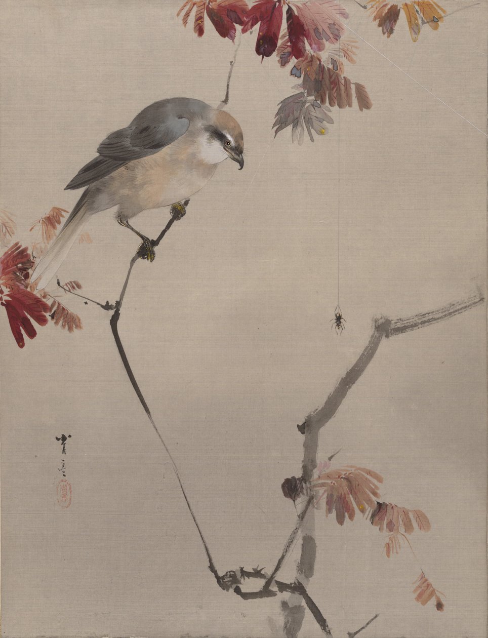 Bird on Branch Watching Spider, ca. 1887. od Watanabe Seitei