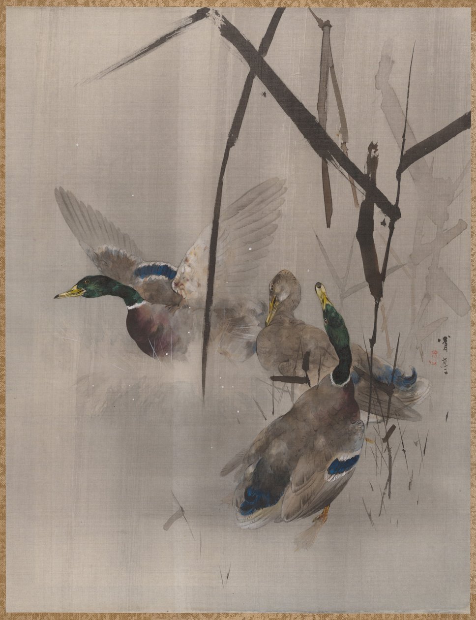 Ducks in the Rushes, ca. 1887. od Watanabe Seitei