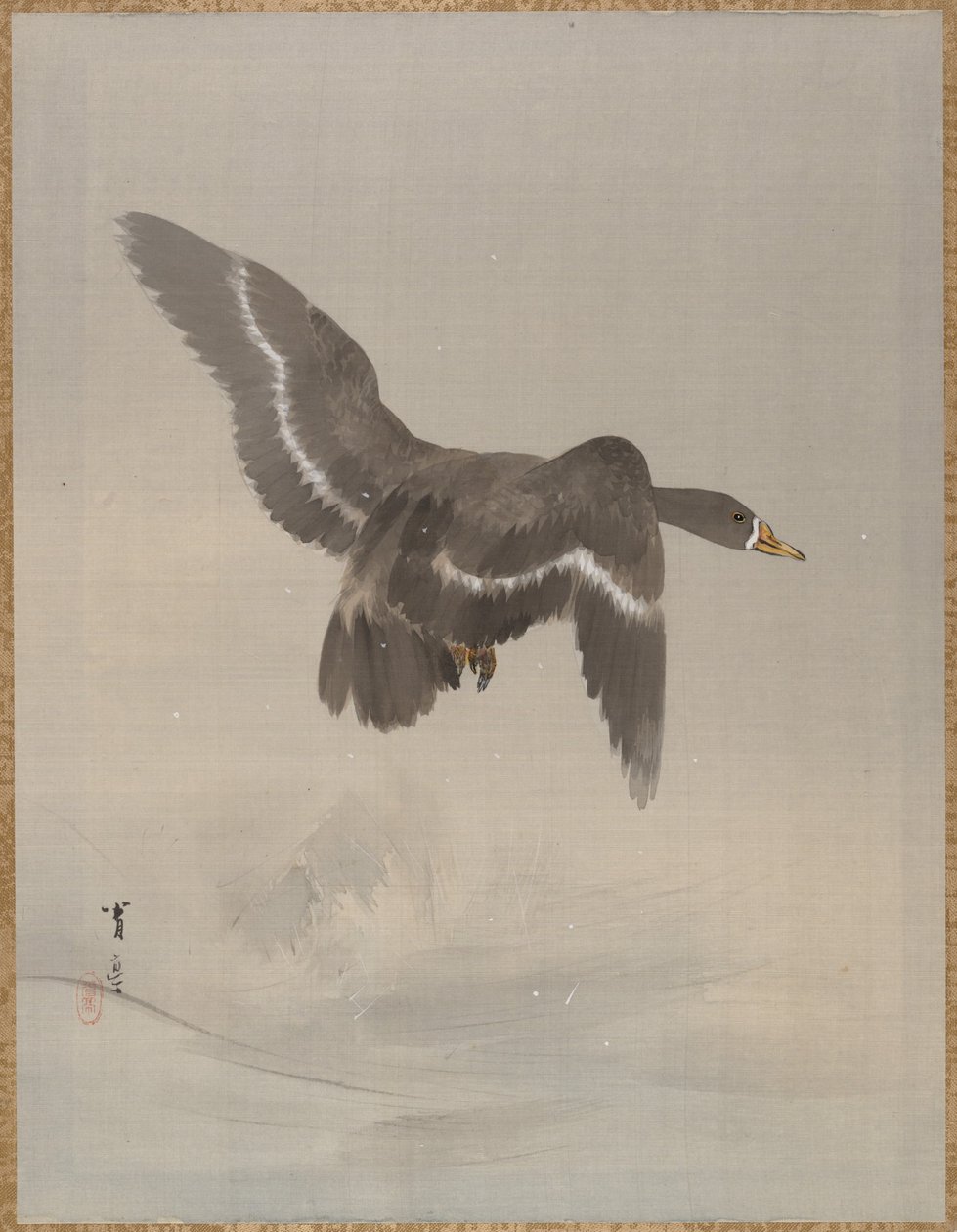 Létající husa, ca. 1887. od Watanabe Seitei