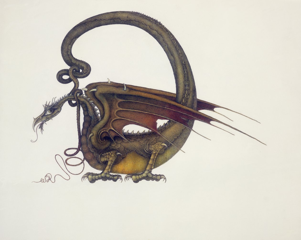 D jako Dragon od Wayne Anderson