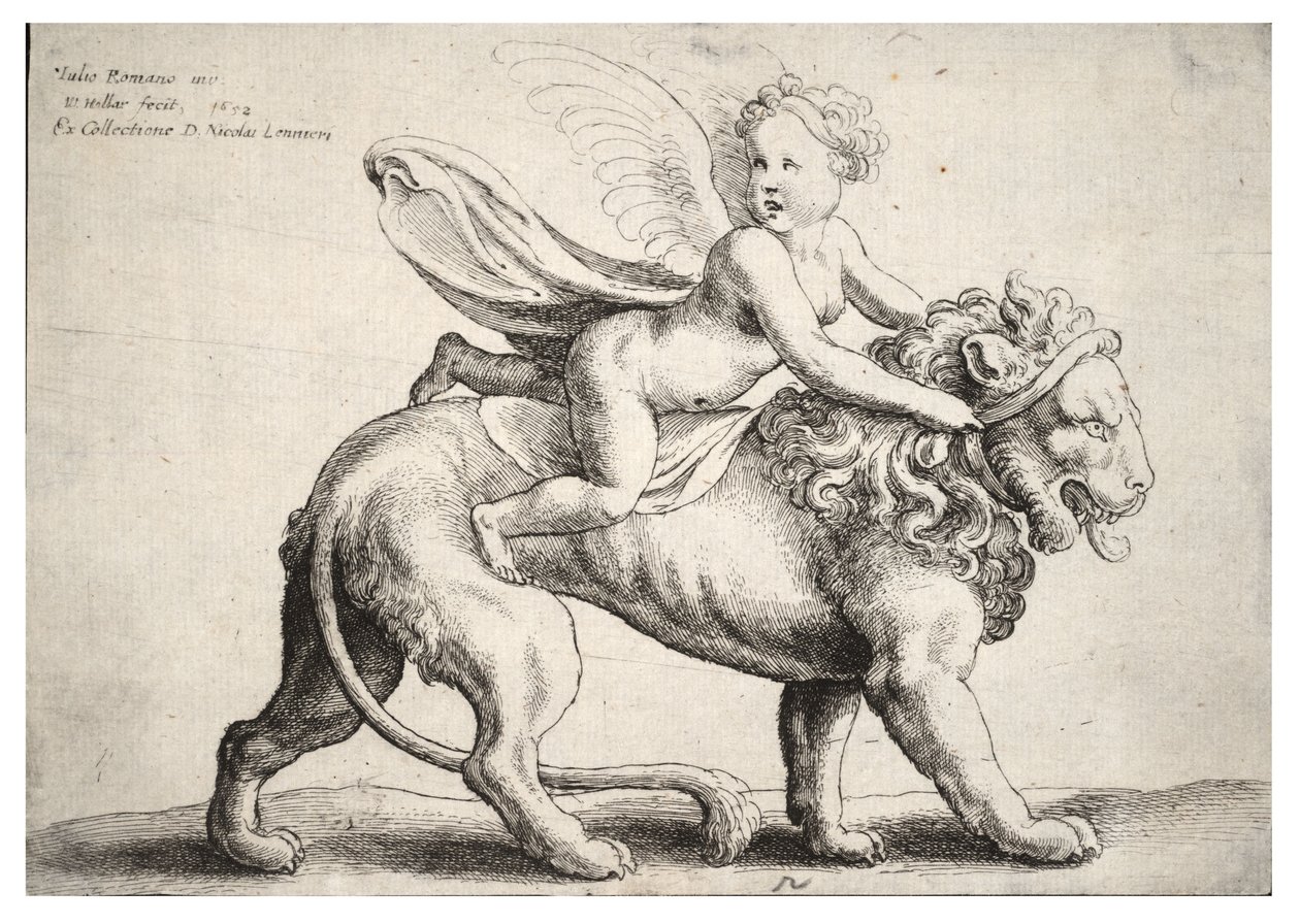 Amor na lvu, po Giulio Romano od Wenceslaus Hollar