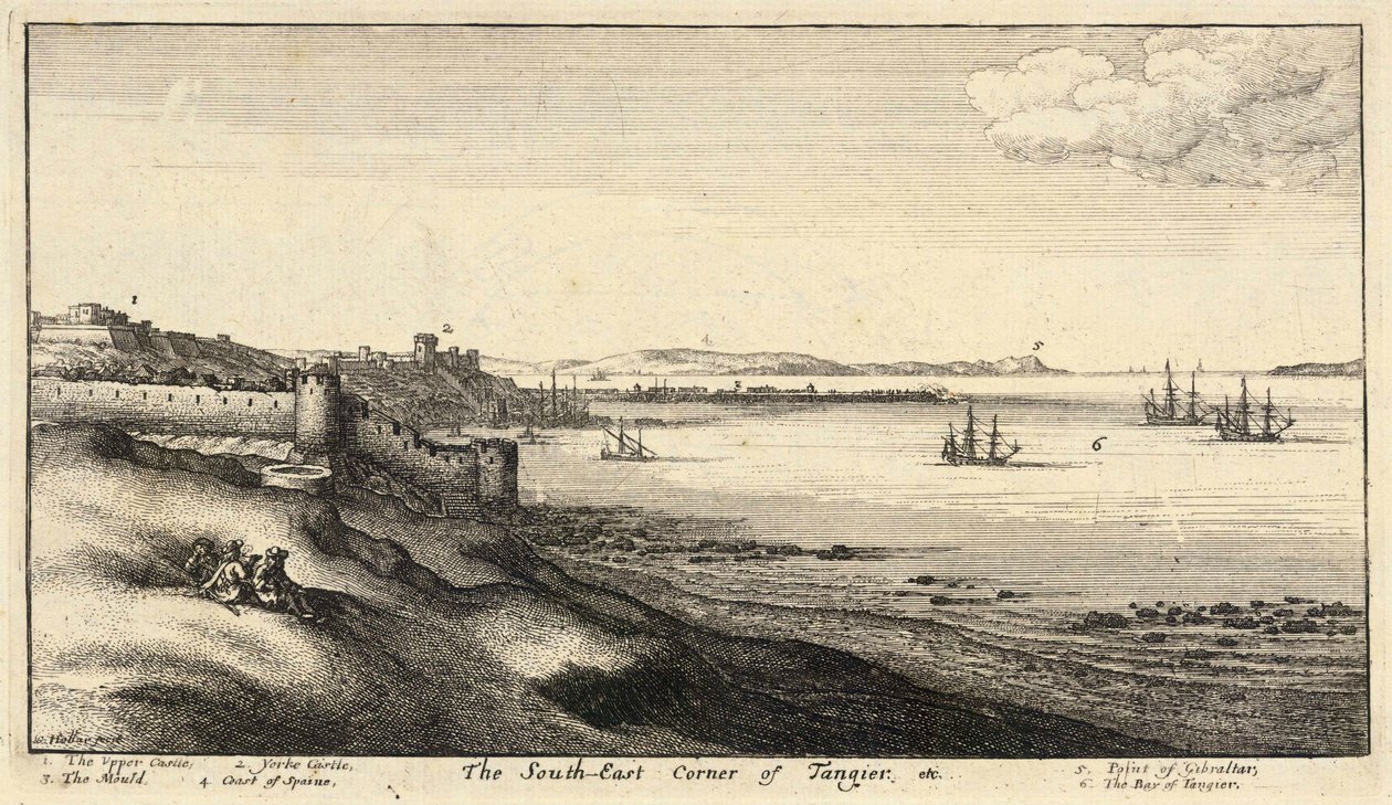 S.E. kout Tangeru. Stav 2 od Wenceslaus Hollar