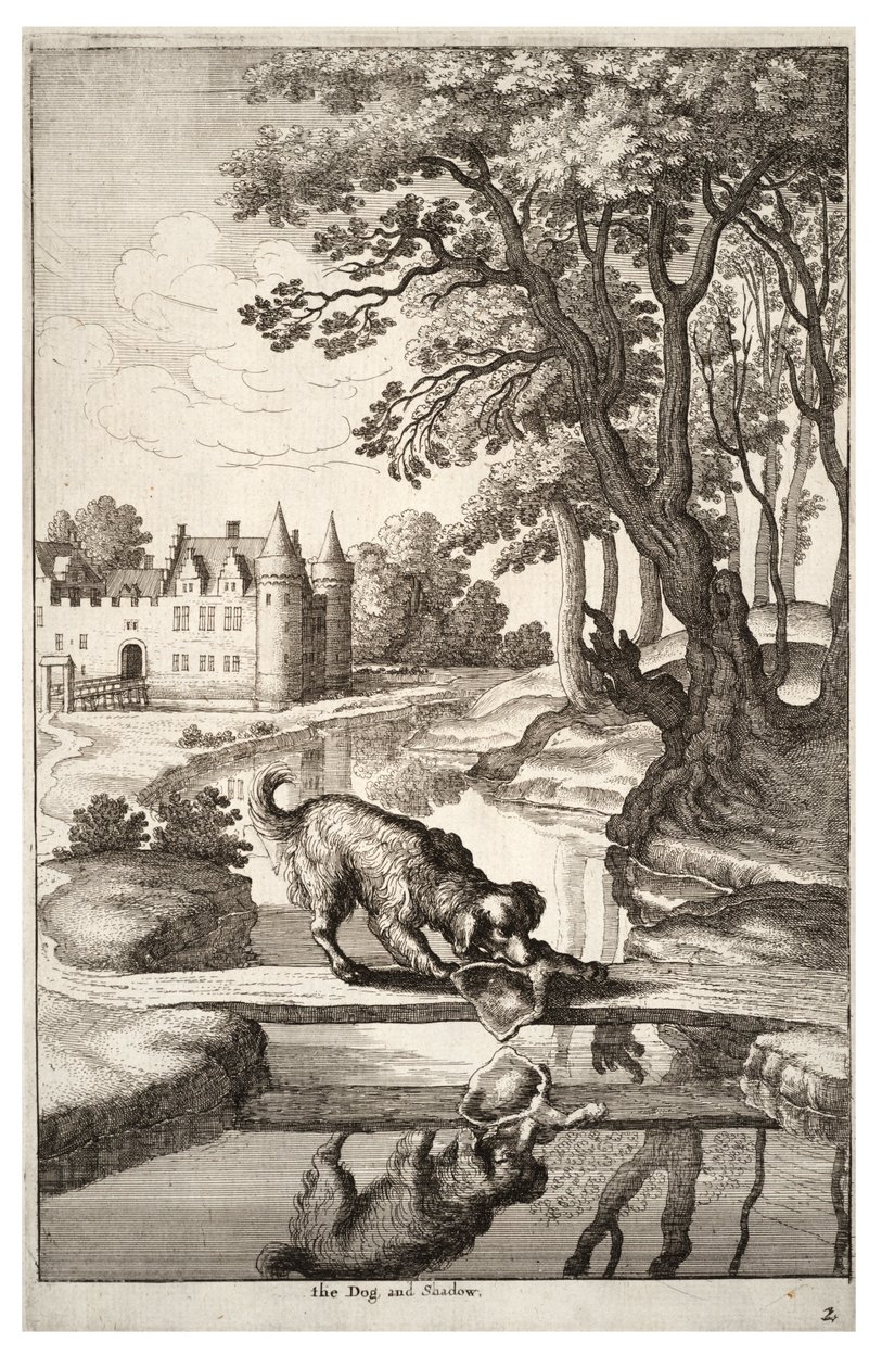 Pes a jeho odraz od Wenceslaus Hollar