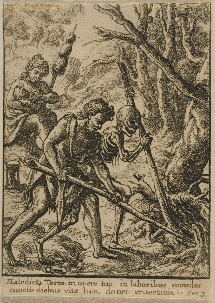 Adam Orat od Wenceslaus Hollar