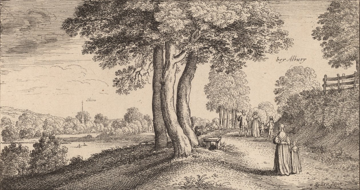 Albury, 1645. od Wenceslaus Hollar