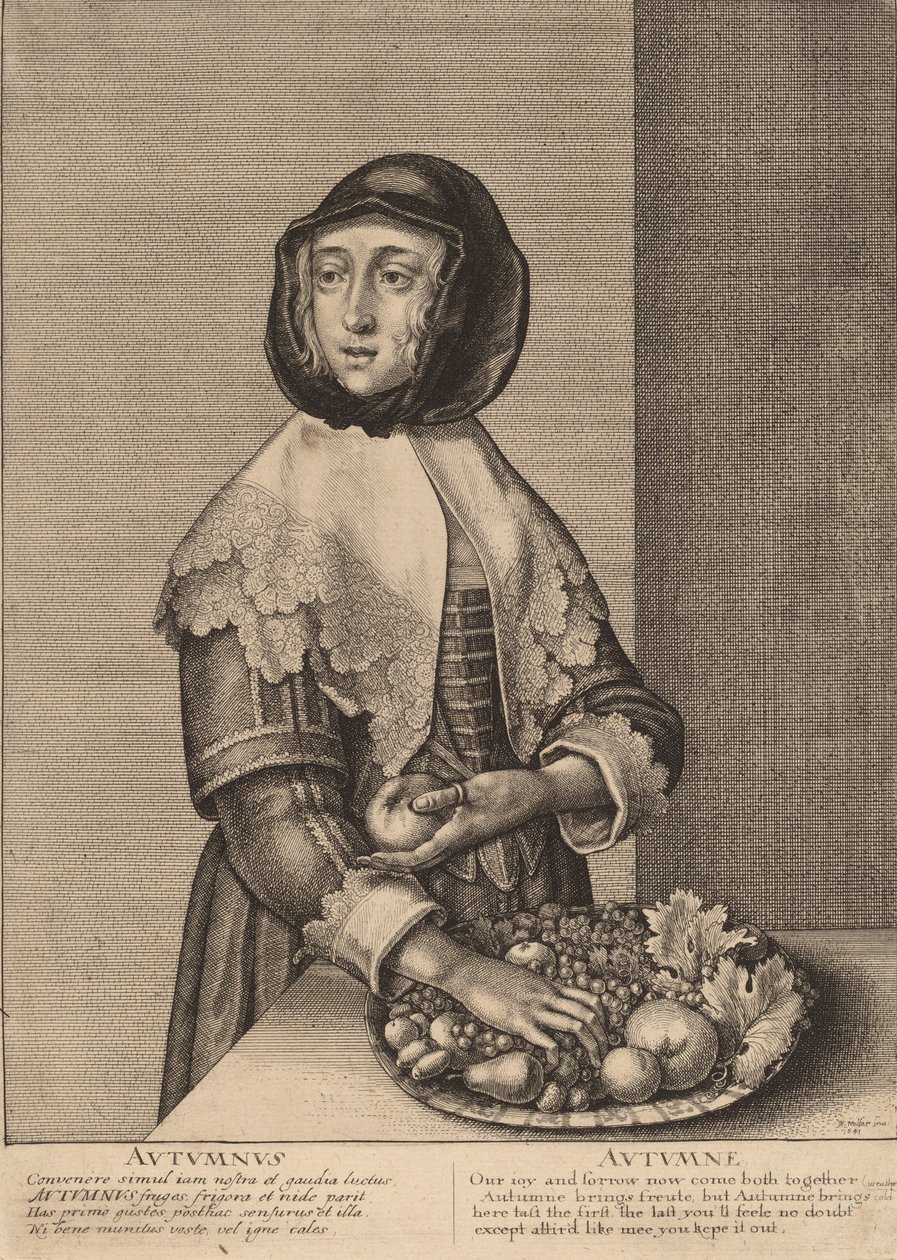 Podzim, 1641. od Wenceslaus Hollar