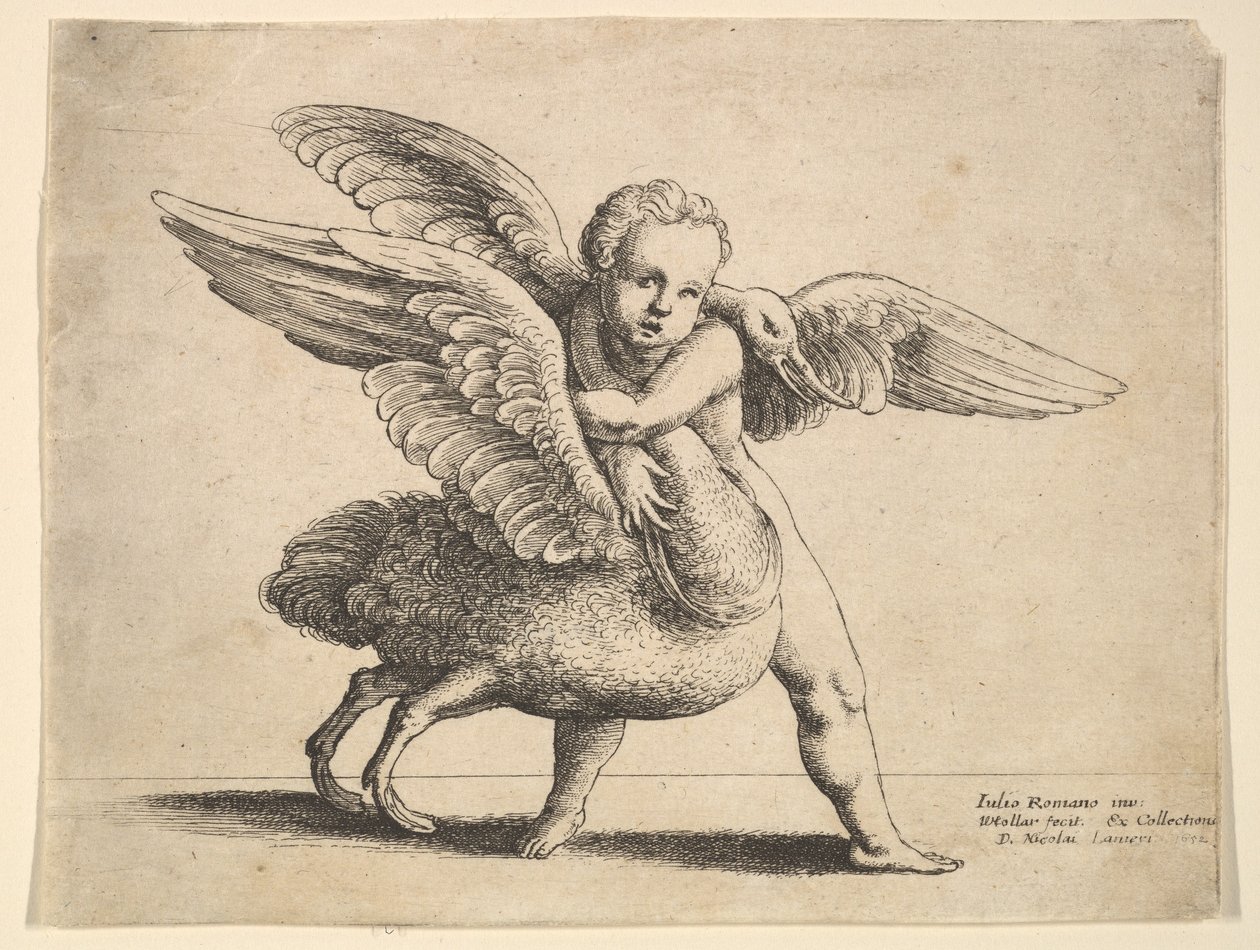 Amor a labuť, 1652. od Wenceslaus Hollar