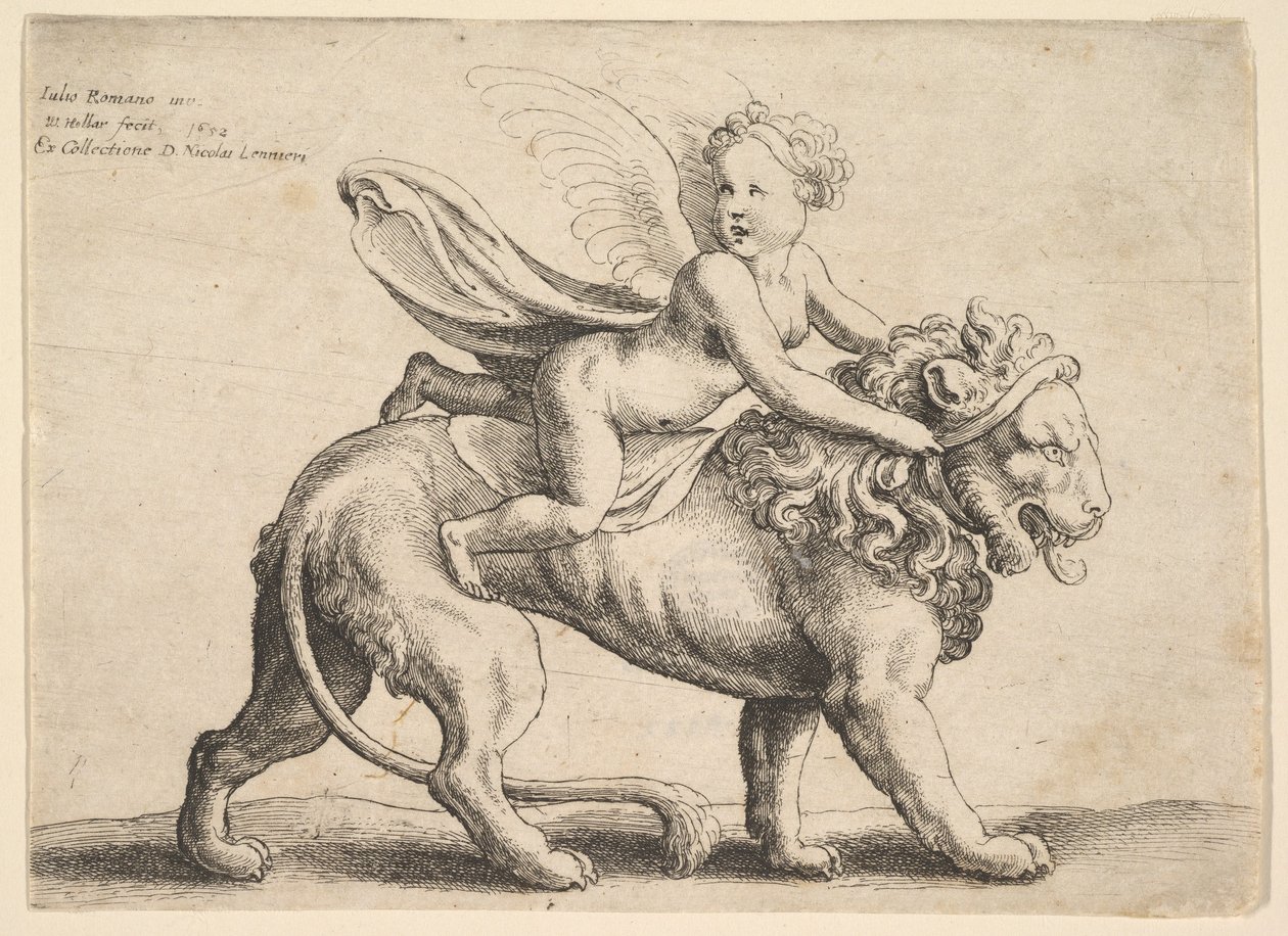 Amor na lvu, 1652. od Wenceslaus Hollar